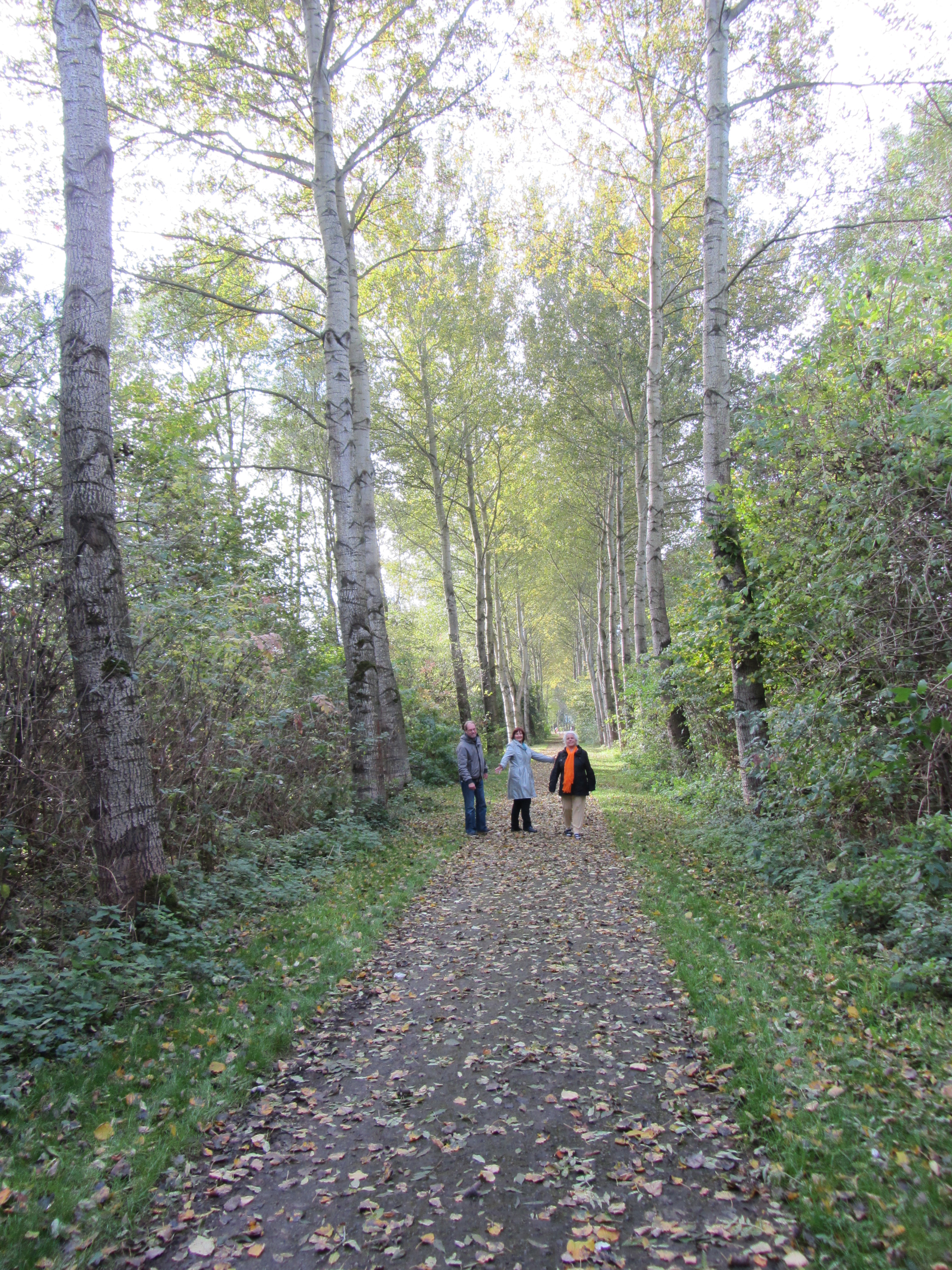 Ipad Marianne 103.JPG